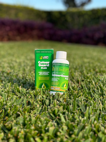 ColourGuard Lawn Colourant
