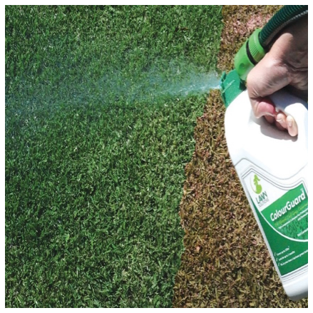 Lawn Solutions Australia LSA ColourGuard Lawn Colourant in 100ml & 2lt bottles