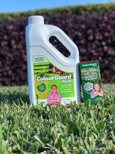 Winter Lawn Care Products